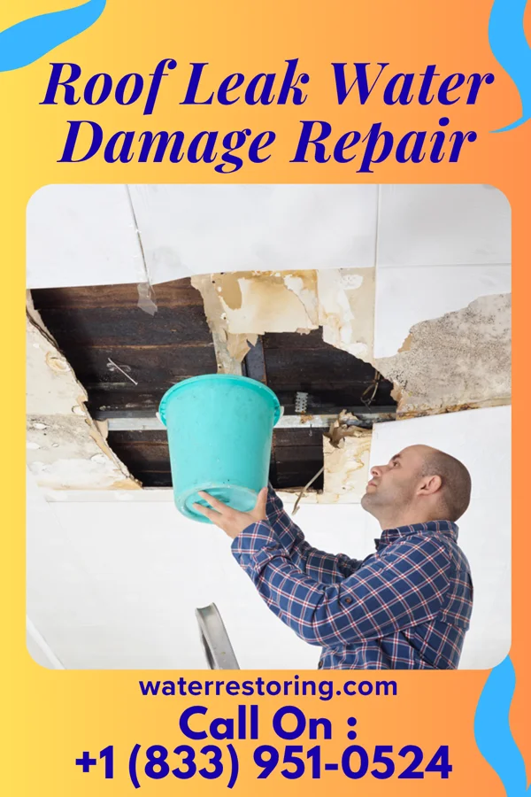 Roof Leak Water Damage Repair in Coloma, WI