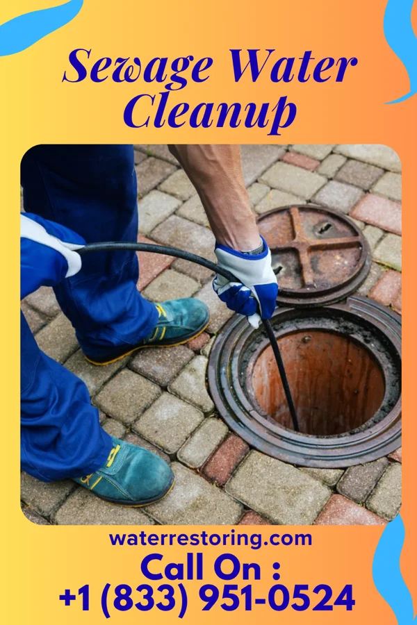 Sewage Water Cleanup in Coloma, WI